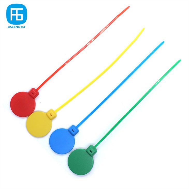 rfid Self Locking cable