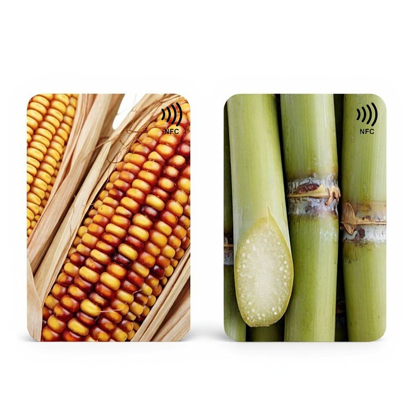 Biodegradable RFID PLA Card suppliers